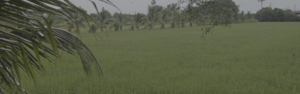 Thitinan